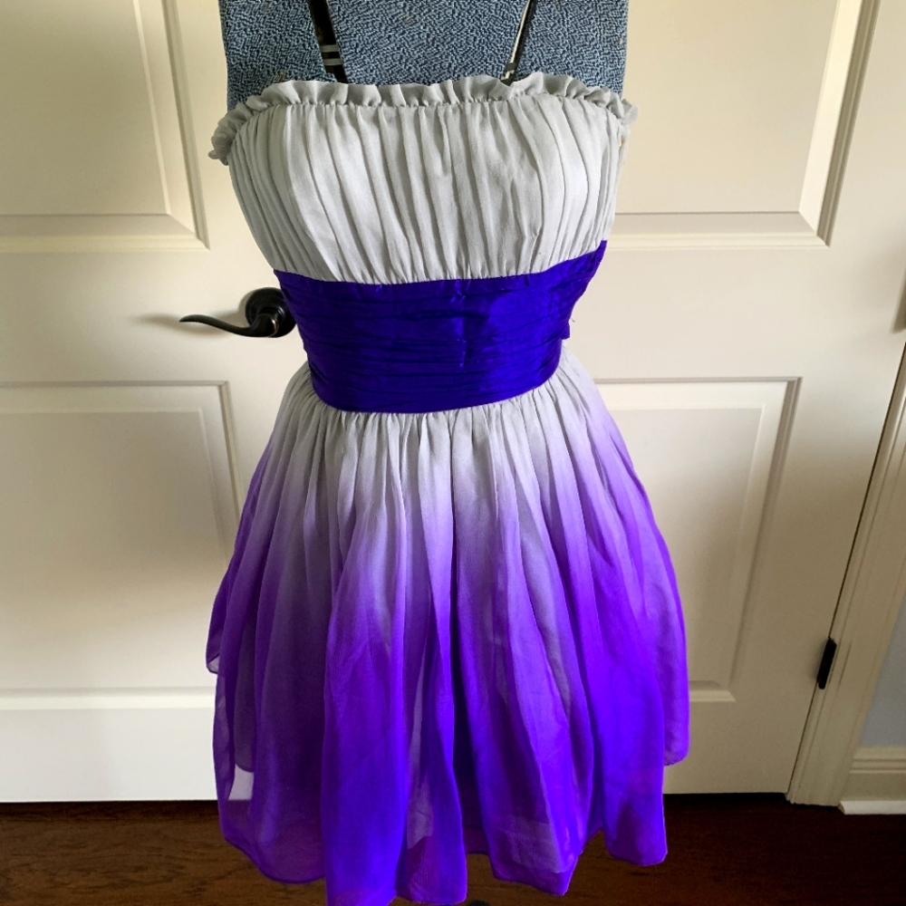 Beber Johnson dress